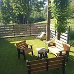 świstak *