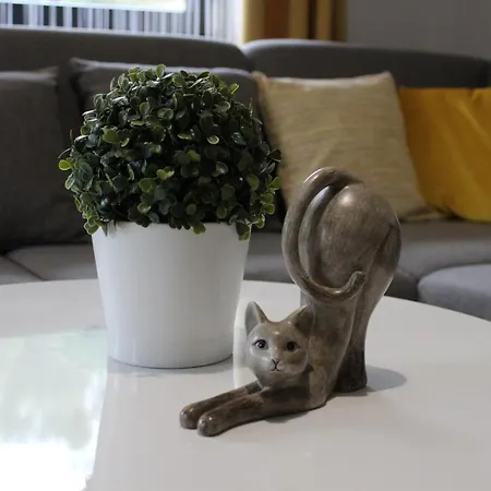 Swistak Maciej Dunajczan Aparthotel