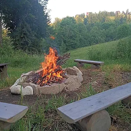 świstak *